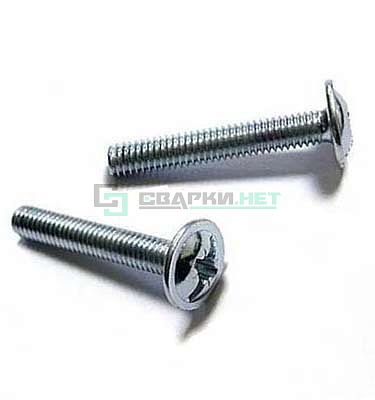 Винт с прессшайбой и крестообразным шлицем М6х30    
